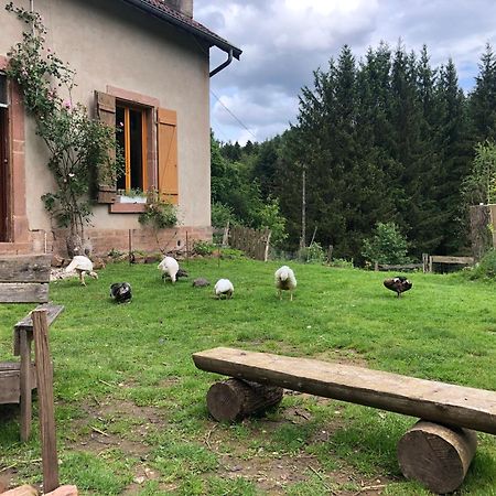 A L'Oree De Soi - Maison Forestiere De La Soie - Eco Gite, Chambres D'Hotes, Camping Au Pied Des Vosges Saint-Sauveur  Екстер'єр фото
