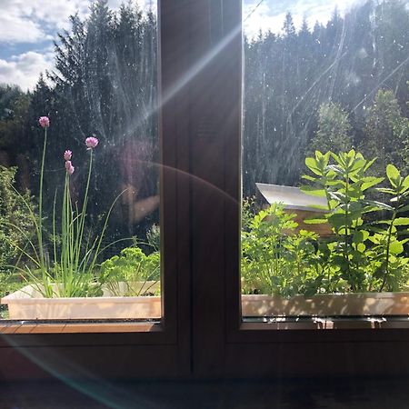 A L'Oree De Soi - Maison Forestiere De La Soie - Eco Gite, Chambres D'Hotes, Camping Au Pied Des Vosges Saint-Sauveur  Екстер'єр фото