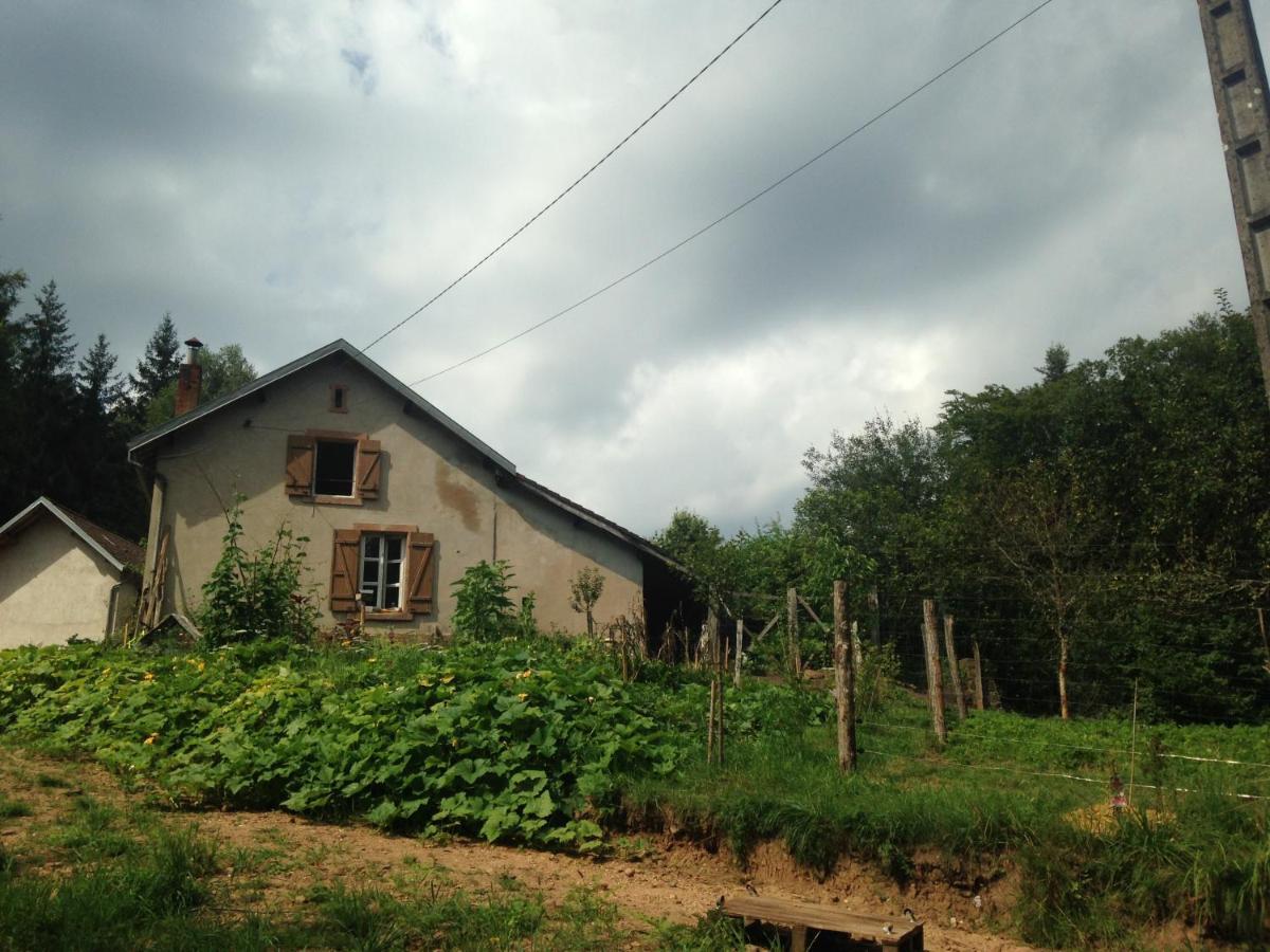 A L'Oree De Soi - Maison Forestiere De La Soie - Eco Gite, Chambres D'Hotes, Camping Au Pied Des Vosges Saint-Sauveur  Екстер'єр фото