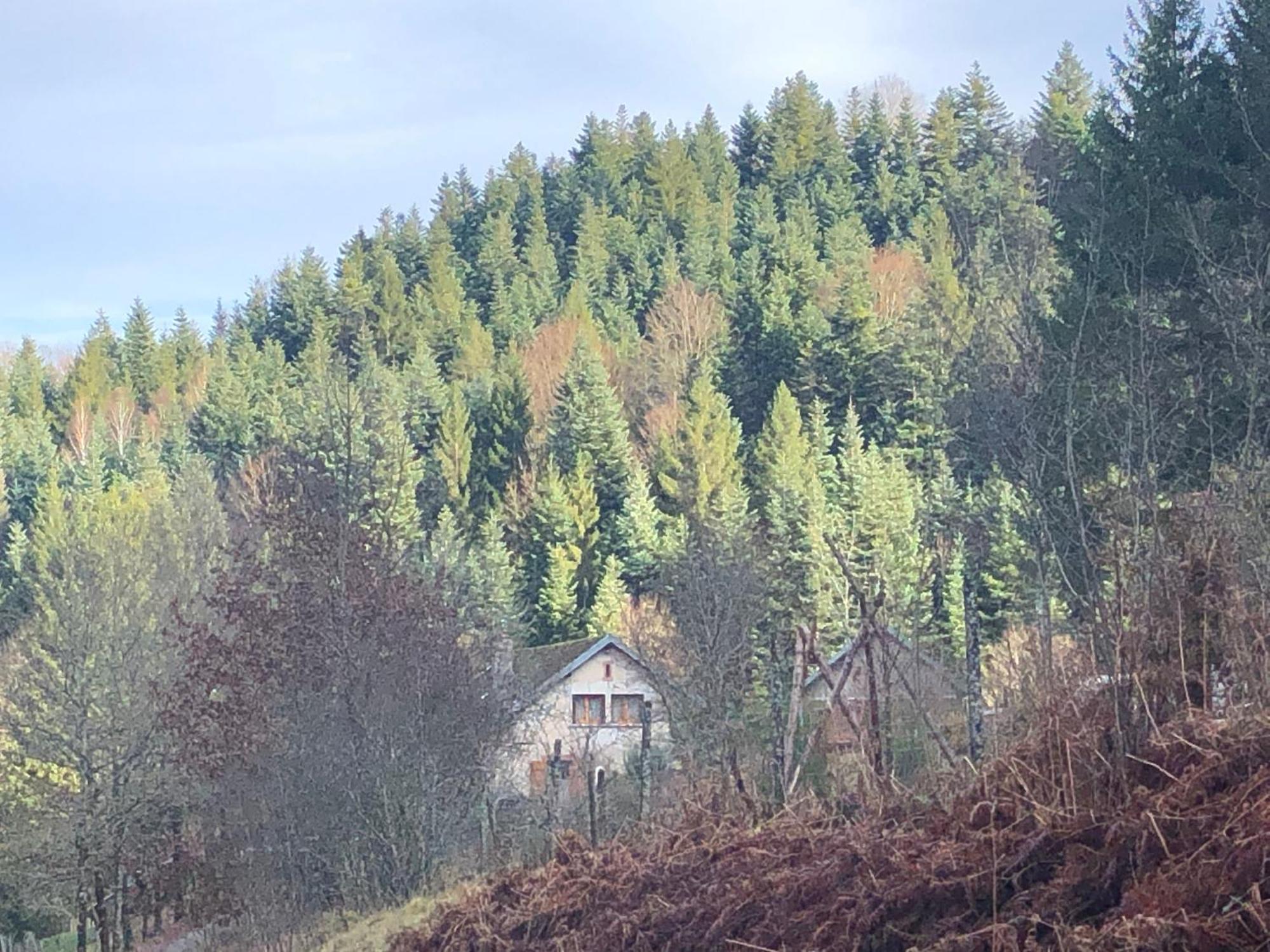 A L'Oree De Soi - Maison Forestiere De La Soie - Eco Gite, Chambres D'Hotes, Camping Au Pied Des Vosges Saint-Sauveur  Екстер'єр фото