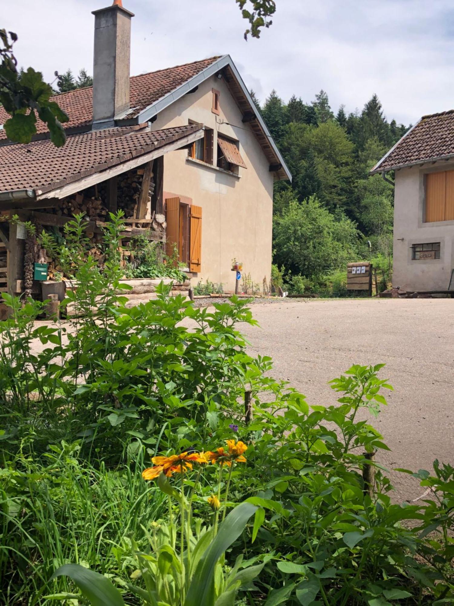 A L'Oree De Soi - Maison Forestiere De La Soie - Eco Gite, Chambres D'Hotes, Camping Au Pied Des Vosges Saint-Sauveur  Екстер'єр фото