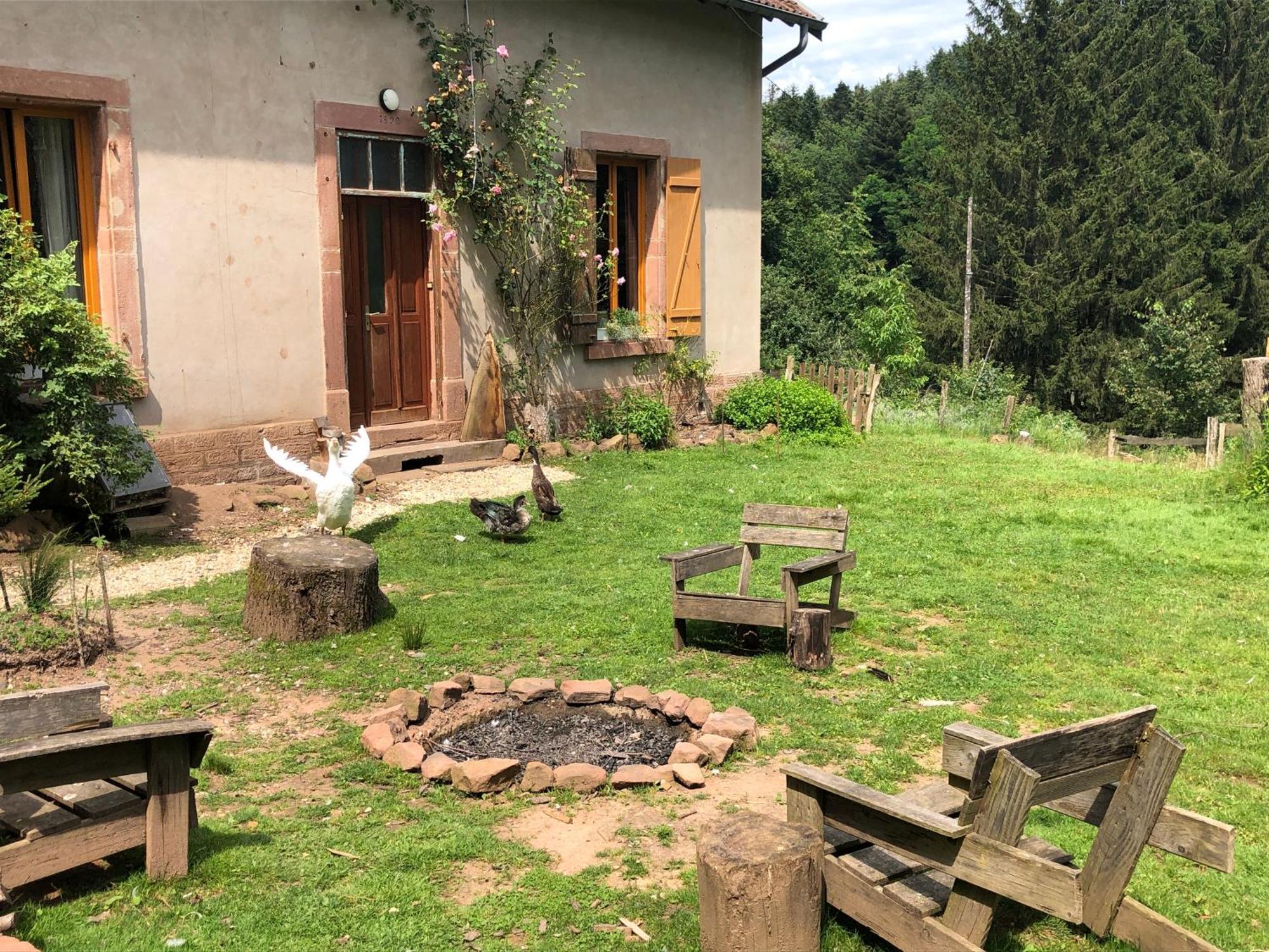 A L'Oree De Soi - Maison Forestiere De La Soie - Eco Gite, Chambres D'Hotes, Camping Au Pied Des Vosges Saint-Sauveur  Екстер'єр фото