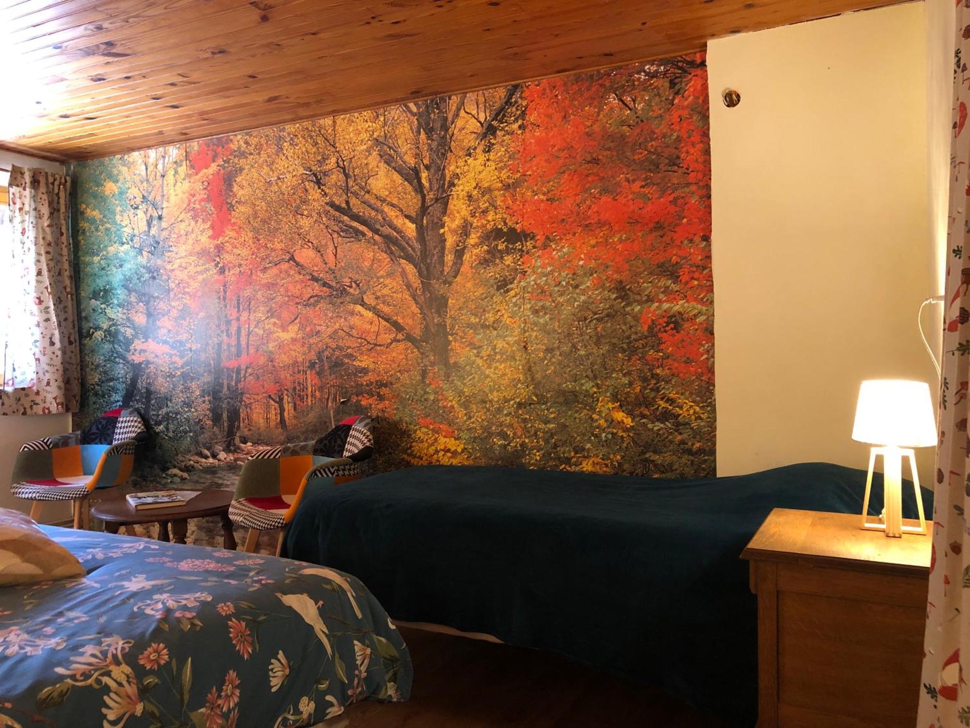 A L'Oree De Soi - Maison Forestiere De La Soie - Eco Gite, Chambres D'Hotes, Camping Au Pied Des Vosges Saint-Sauveur  Екстер'єр фото