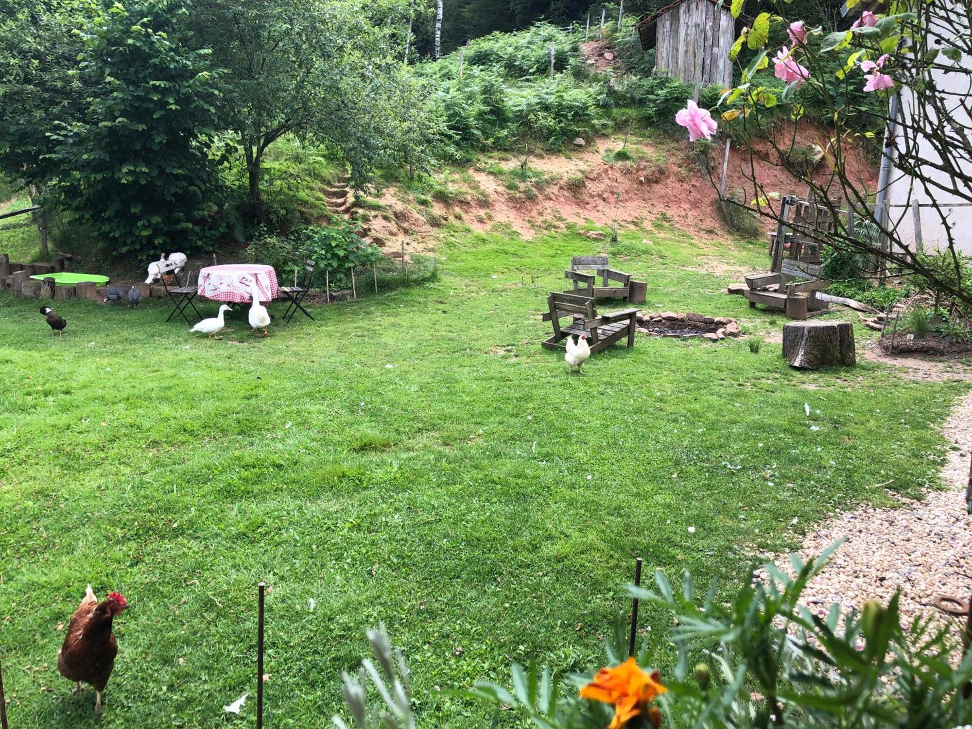 A L'Oree De Soi - Maison Forestiere De La Soie - Eco Gite, Chambres D'Hotes, Camping Au Pied Des Vosges Saint-Sauveur  Екстер'єр фото